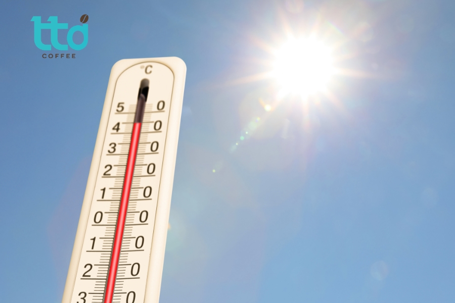 Cà phê nhân nên được bảo quản ở 20–25°C, độ ẩm môi trường 60–65% Cà phê nhân nên được bảo quản ở 20–25°C, độ ẩm môi trường 60–65%