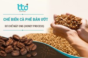 Chế biến cà phê bán ướt​ là gì? Quy trình, ưu và nhược điểm