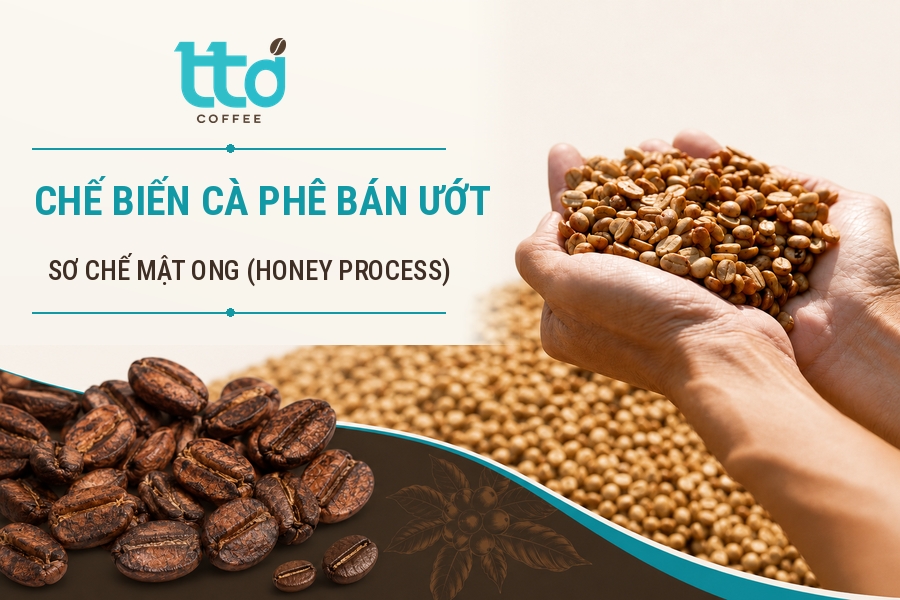 Chế biến cà phê bán ướt​ là gì? Quy trình, ưu và nhược điểm