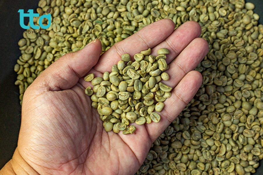 Mua cà phê nhân ở đâu uy tín, giá sỉ? Mua cà phê nhân ở đâu uy tín, giá sỉ?