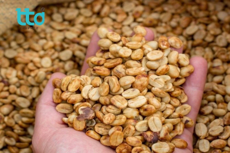 Sơ chế bán ướt giúp tiết kiệm nước, tăng vị ngọt và thể chất cà phê, đồng thời làm nổi bật đặc tính hương vị tự nhiên Sơ chế bán ướt giúp tiết kiệm nước, tăng vị ngọt và thể chất cà phê, đồng thời làm nổi bật đặc tính hương vị tự nhiên