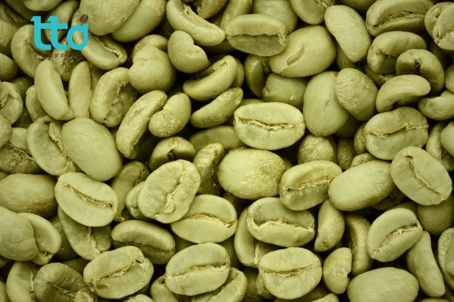 Cà phê nhân xanh là hạt cà phê đã được sơ chế nhưng chưa rang xay Cà phê nhân xanh là hạt cà phê đã được sơ chế nhưng chưa rang xay