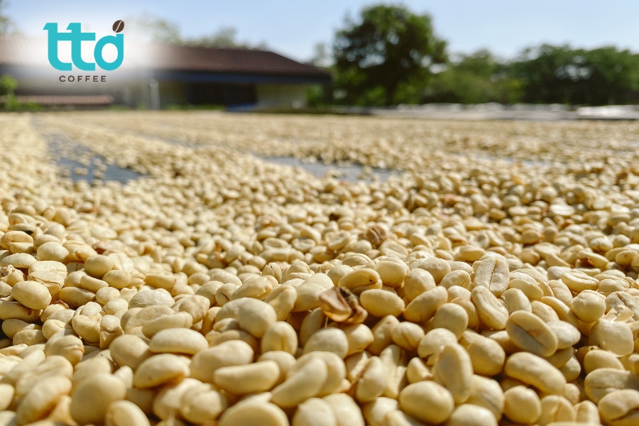 Làm khô giúp đưa độ ẩm của cà phê nhân về mức an toàn 10–12% Làm khô giúp đưa độ ẩm của cà phê nhân về mức an toàn 10–12%