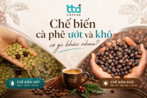 So sánh chế biến cà phê ướt và khô có gì khác nhau?