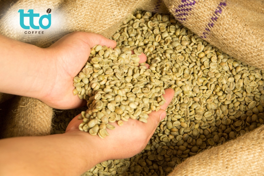 TTD Coffee - Nguồn cung cà phê nhân xanh chất lượng cho đối tác TTD Coffee - Nguồn cung cà phê nhân xanh chất lượng cho đối tác
