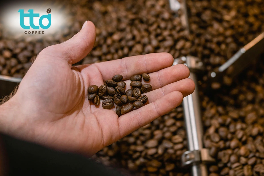 TTD Coffee cung cấp giá gia công cạnh tranh trực tiếp tại xưởng TTD Coffee cung cấp giá gia công cạnh tranh trực tiếp tại xưởng
