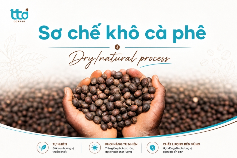 Sơ chế khô cà phê (Dry/natural process) là gì? Khái niệm và quy trình Sơ chế khô cà phê (Dry/natural process) là gì? Khái niệm và quy trình