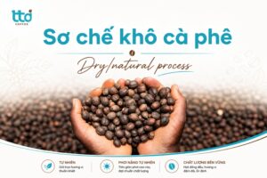 Sơ chế khô cà phê (Dry/natural process) là gì? Khái niệm và quy trình