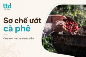 Phương pháp sơ chế ướt cà phê là gì? Quy trình, ưu và nhược điểm