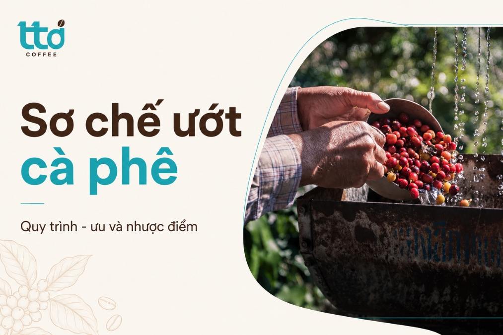Phương pháp sơ chế ướt cà phê là gì? Quy trình, ưu và nhược điểm