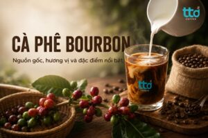Cà phê Bourbon là gì? Nguồn gốc, hương vị và đặc điểm nổi bật