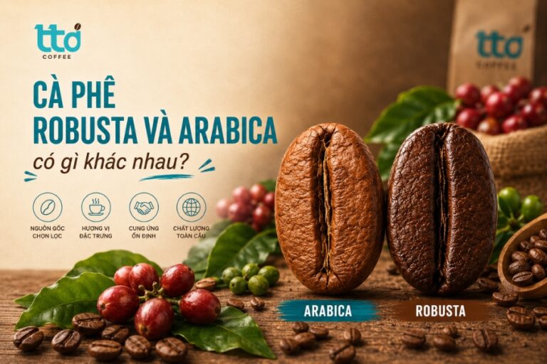 Cà phê Robusta và Arabica có gì khác nhau? Loại nào thơm ngon hơn
