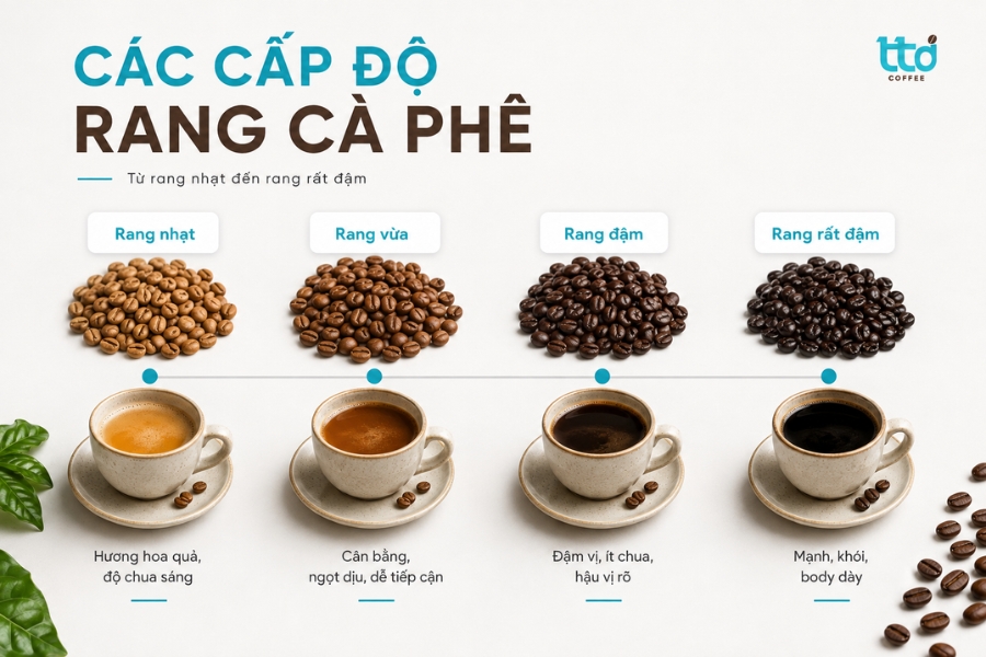 Các cấp độ rang cà phê và cách chọn cấp độ, nhiệt độ rang phù hợp Các cấp độ rang cà phê và cách chọn cấp độ, nhiệt độ rang phù hợp