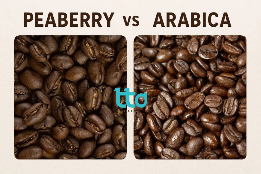 Culi Arabica có vị chua thanh, hậu ngọt nhẹ, ít đắng gắt Culi Arabica có vị chua thanh, hậu ngọt nhẹ, ít đắng gắt