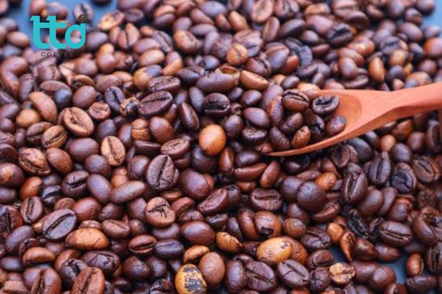 Robusta có sức sinh trưởng khỏe, thích nghi tốt với khí hậu nóng ẩm Robusta có sức sinh trưởng khỏe, thích nghi tốt với khí hậu nóng ẩm