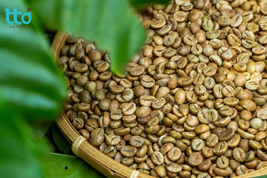 Fine Robusta là dòng Robusta chất lượng cao, đạt từ 80 điểm trở lên theo hệ thống đánh giá của CQI