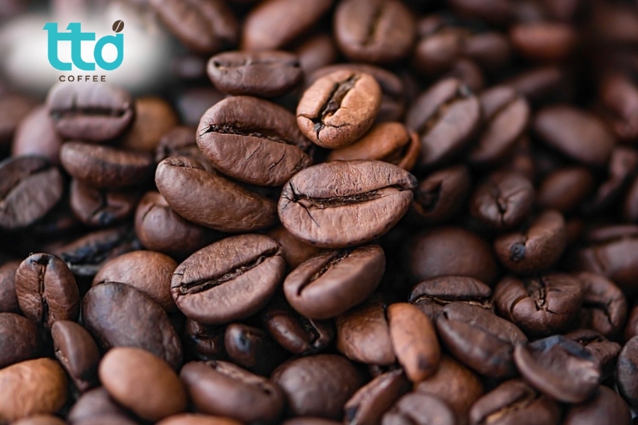 Moka là dòng Arabica cao cấp, khó canh tác và nổi tiếng với vùng trồng Cầu Đất – Đà Lạt Moka là dòng Arabica cao cấp, khó canh tác và nổi tiếng với vùng trồng Cầu Đất – Đà Lạt