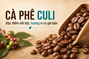 Cà phê Culi (cafe Bi) là gì? Đặc điểm nổi bật, hương vị và giá bán