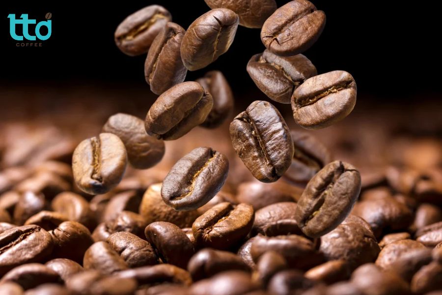 Cà phê Geisha (Gesha) là giống Arabica quý hiếm