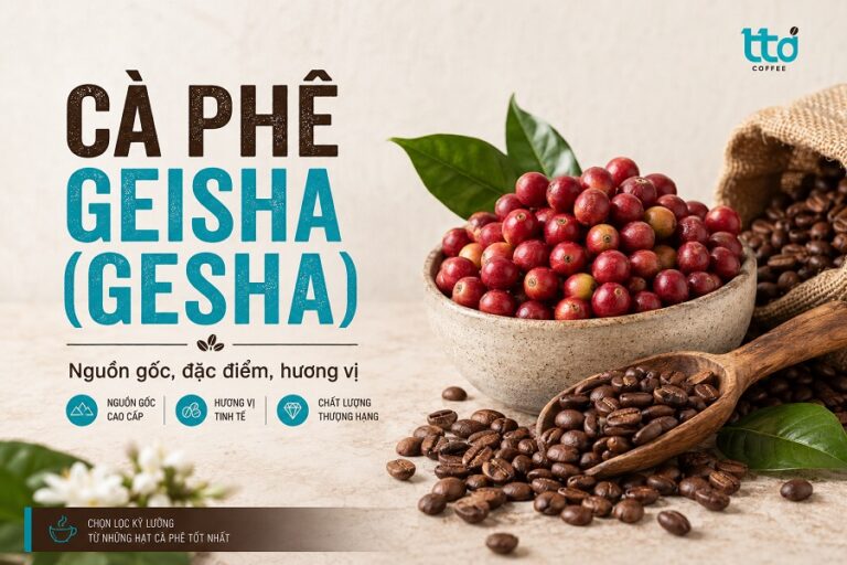 Cà phê Geisha là gì? Đặc điểm, hương vị và giá thành