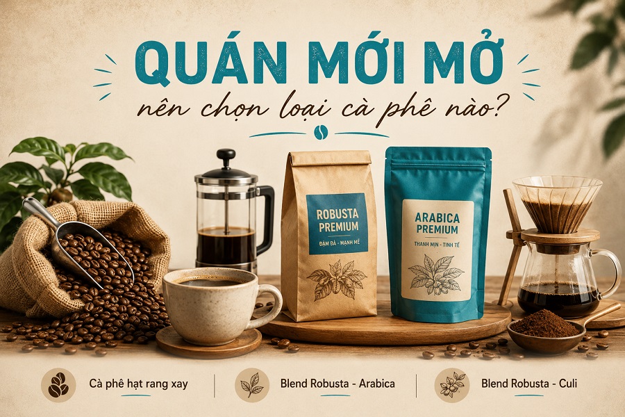 Quán mới mở nên chọn loại cà phê nào? Kinh nghiệm và lời khuyên