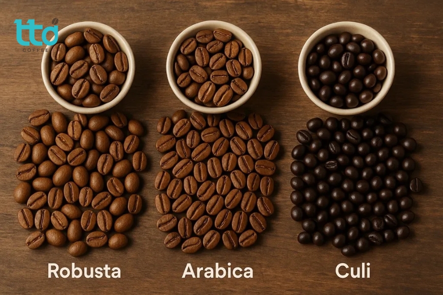 Tỷ lệ 70% Robusta + 15% Culi + 15% Arabica cho vị đậm, thể chất dày và hương thơm cân bằng
