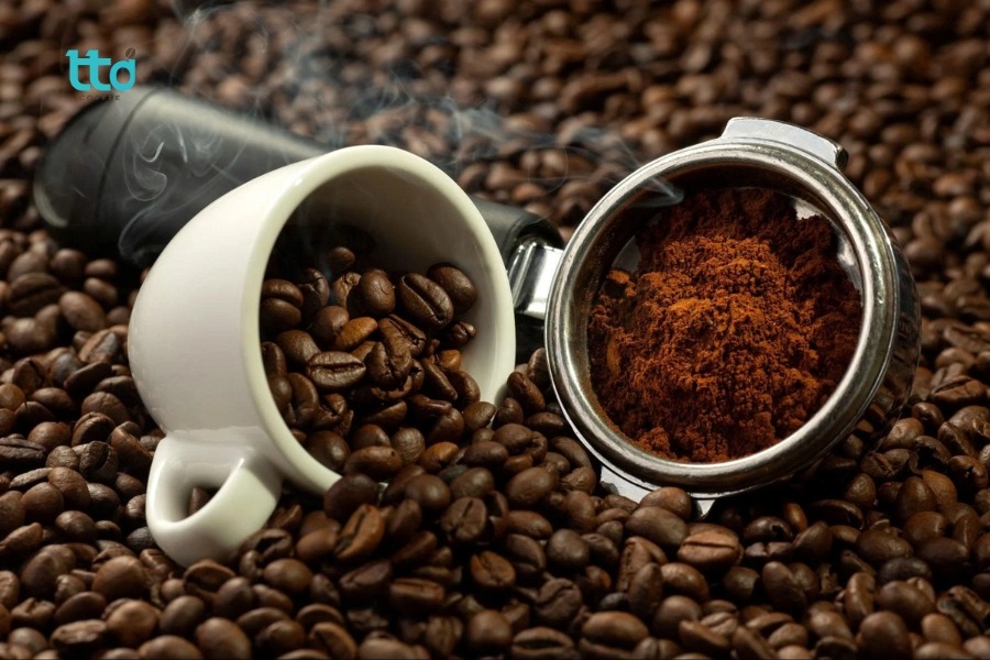 Đặc điểm cây và hạt cà phê Typica