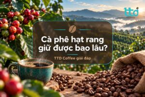 Cà phê hạt rang để được bao lâu? TTD Coffee giải đáp