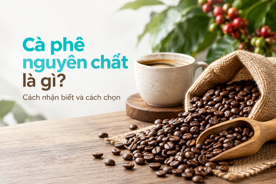 Cà phê nguyên chất là gì? Cách nhận biết và cách chọn đúng cà phê